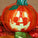 Milk chocolate witch-shaped Halloween treat