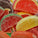 1 lb.  Assorted Fruit Slices