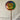 5 oz. Whirly Pop
