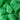 8 oz. Spearmint Leaves