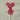 Moose Barley Pop - view 6