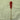 Swizzle Stick - view 9