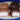 Coconut Cream - view 3